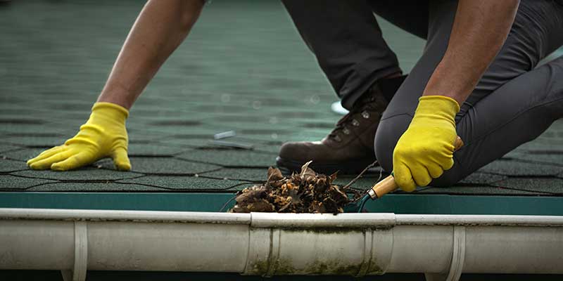Gutter & Downspout Cleaning Services