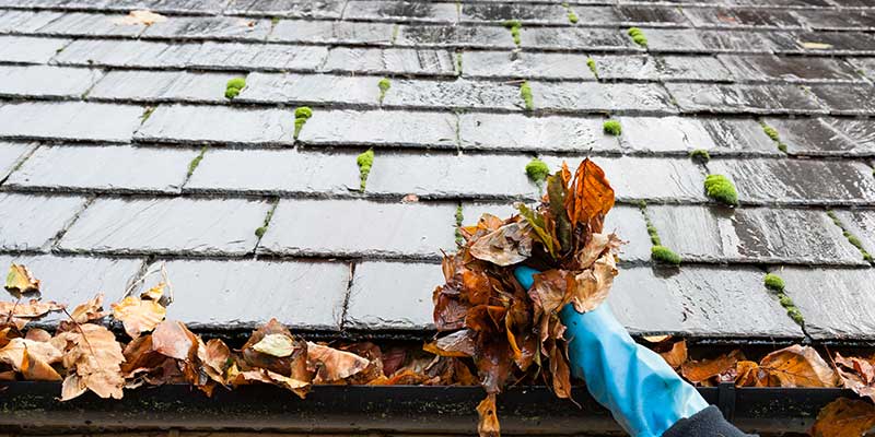 Gutter Inspection Services