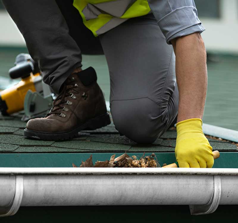 Professional Gutter Cleaning in Metro Atlanta