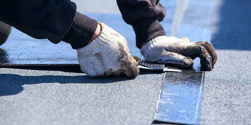 Exterior House Painting Services
