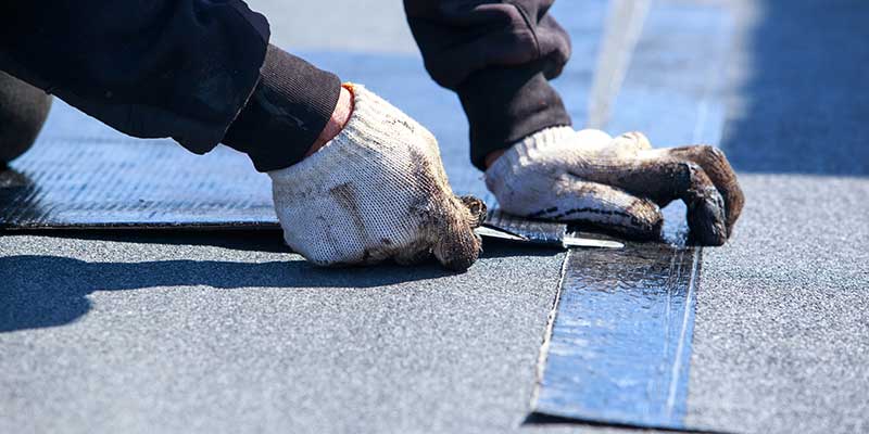 Exterior House Painting Services