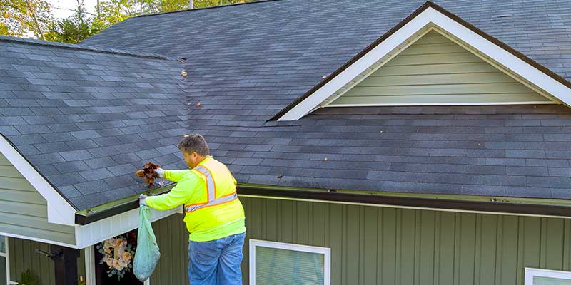 Exterior House Painting Services